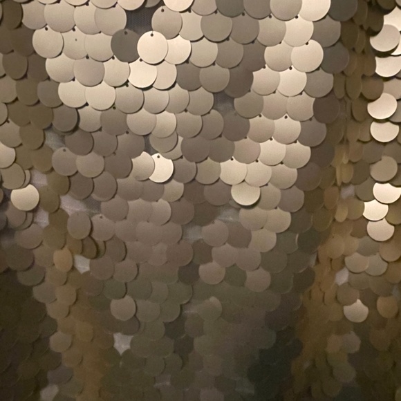 Beautiful Gold Sequin XL Blouse - Picture 3 of 6